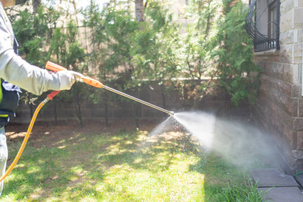 Insect Control in Loogootee, IN